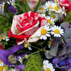 Florist Choice Hand Tied Bouquet