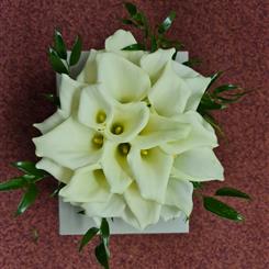 exquisite calla 
