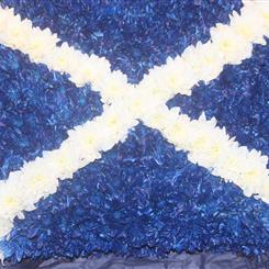 saltire flag