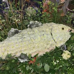 Fish on the riverbank 