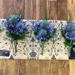 Double trouble thistle
