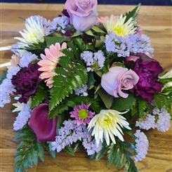 Purples and pinks 