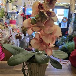 Artificial phalaenopsis peach