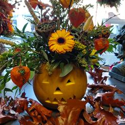Halloween Pumpkin making  event