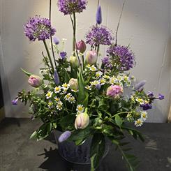 Lilac tin