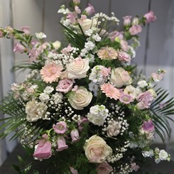 Front faceing arrangement