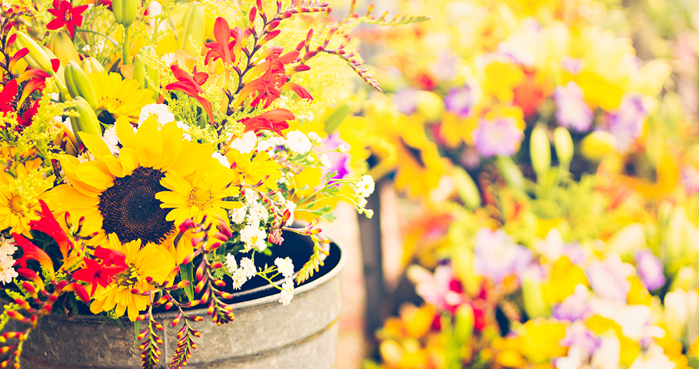 Flowers by Joan