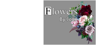 Flowers by Joan Annan